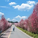 茶园绿道月亮湖 - 雅安市旅游 缩略图 5