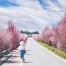 茶园绿道月亮湖 - 雅安市旅游 缩略图 1