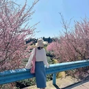 茶园绿道月亮湖 - 雅安市旅游 缩略图 8