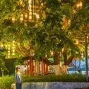 夜游锦江(东门码头) - 成都市旅游 缩略图 7
