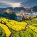 延村 - 上饶旅游 缩略图 7