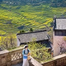 思溪延村赏油菜花海 - 上饶市旅游 缩略图 1