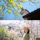 思溪延村赏油菜花海 - 上饶市旅游 缩略图 8