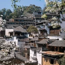 思溪延村赏油菜花海 - 上饶市旅游 缩略图 7