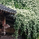 老门东 - 南京市旅游 缩略图 1