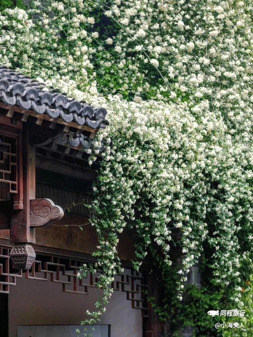 老门东 - 南京市旅游