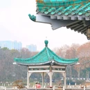 武汉东湖落雁景区 - 武汉市旅游 缩略图 3