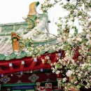 开封包公祠 - 开封市旅游 缩略图 9