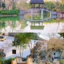 西溪国家湿地公园高庄-10出口 - 杭州市旅游 缩略图 3