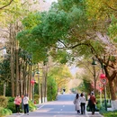 西溪国家湿地公园高庄-10出口 - 杭州市旅游 缩略图 4