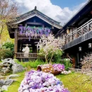 江苏省金坛茅山旅游度假区·茅山东方盐湖城·道天下景区 - 常州市旅游 缩略图 1