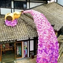 江苏省金坛茅山旅游度假区·茅山东方盐湖城·道天下景区 - 常州市旅游 缩略图 5