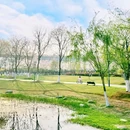 西苑公园 - 武汉旅游 缩略图 4