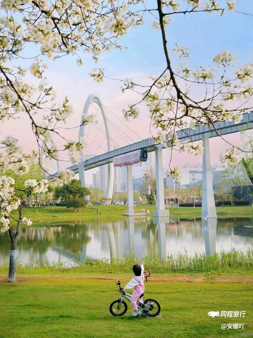 西苑公园 - 武汉旅游