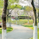 西苑公园 - 武汉旅游 缩略图 7