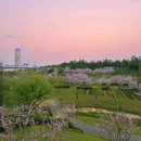 西苑公园 - 武汉旅游 缩略图 9