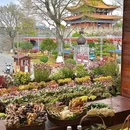 菌二哥野生菌火锅·石板烧 - 大理白族自治州旅游 缩略图 1