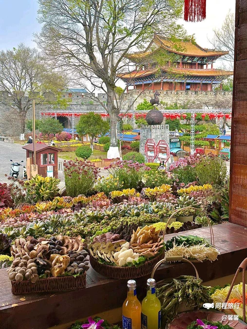 菌二哥野生菌火锅·石板烧 - 大理白族自治州旅游