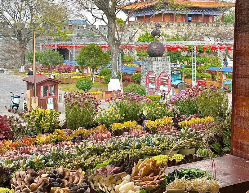 菌二哥野生菌火锅·石板烧 - 大理白族自治州旅游 1
