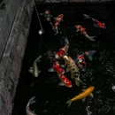 七塔寺 - 沈阳市旅游 缩略图 6