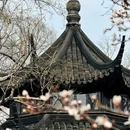 拙政园 - 苏州市旅游 缩略图 5