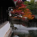 拙政园 - 苏州市旅游 缩略图 1