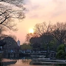 拙政园 - 苏州市旅游 缩略图 9