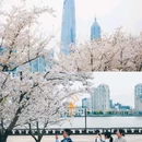 杨浦滨江 - 上海市旅游 缩略图 5