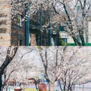 杨浦滨江 - 上海市旅游 缩略图 2