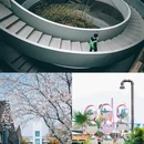 杨浦滨江 - 上海市旅游 缩略图 7
