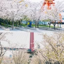 杨浦滨江 - 上海市旅游 缩略图 6