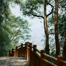 重庆市北碚区温泉寺 - 重庆市旅游 缩略图 6