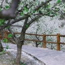 云龟山景区 - 重庆市旅游 缩略图 8