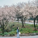 云龟山景区 - 重庆市旅游 缩略图 2