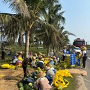 草坡 - 文昌市旅游 缩略图 2