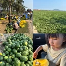 草坡 - 文昌市旅游 缩略图 1