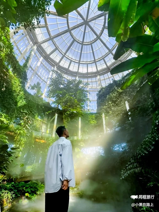 云南丰泽源植物园 - 昆明市旅游