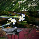 云南丰泽源植物园 - 昆明市旅游 缩略图 2