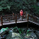 大岭沟猕猴桃谷景区 - 北京市旅游 缩略图 3