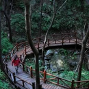 大岭沟猕猴桃谷景区 - 北京市旅游 缩略图 1