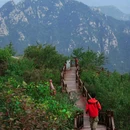 大岭沟猕猴桃谷景区 - 北京市旅游 缩略图 2