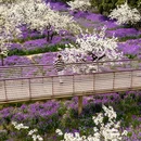 江苏三台山国家森林公园-西门 - 宿迁市旅游 缩略图 2