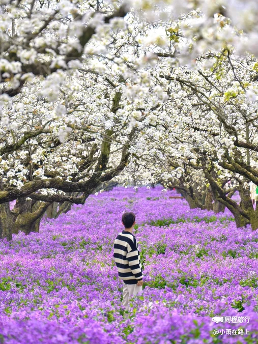 江苏三台山国家森林公园-西门 - 宿迁市旅游