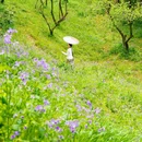 虎丘山风景名胜区 - 苏州市旅游 缩略图 3
