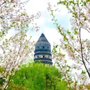 虎丘山风景名胜区 - 苏州市旅游 缩略图 6