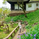 虎丘山风景名胜区 - 苏州市旅游 缩略图 8