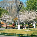 和平公园 - 南京市旅游 缩略图 5