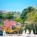 和平公园 - 南京市旅游 缩略图 4
