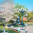 和平公园 - 南京市旅游 缩略图 2