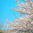 和平公园 - 南京市旅游 缩略图 7